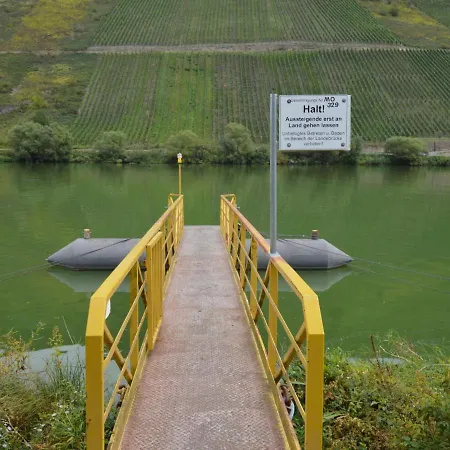Сasa de vacaciones Comfortable House Directly By The Moselle, With Terrace And Private Parking Briedel